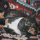 Cleo